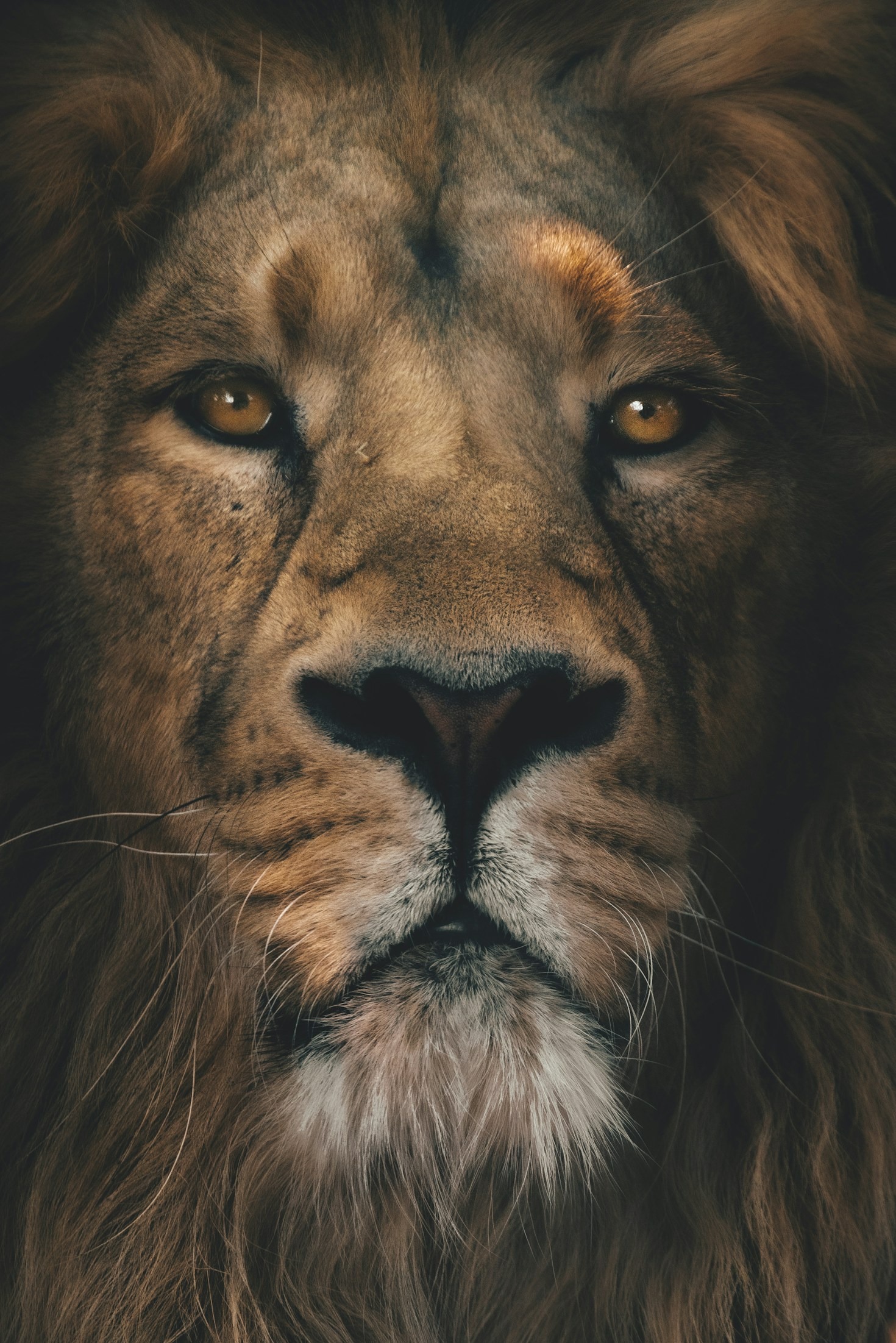 Top Digital Tools for Enhancing Masculine Power