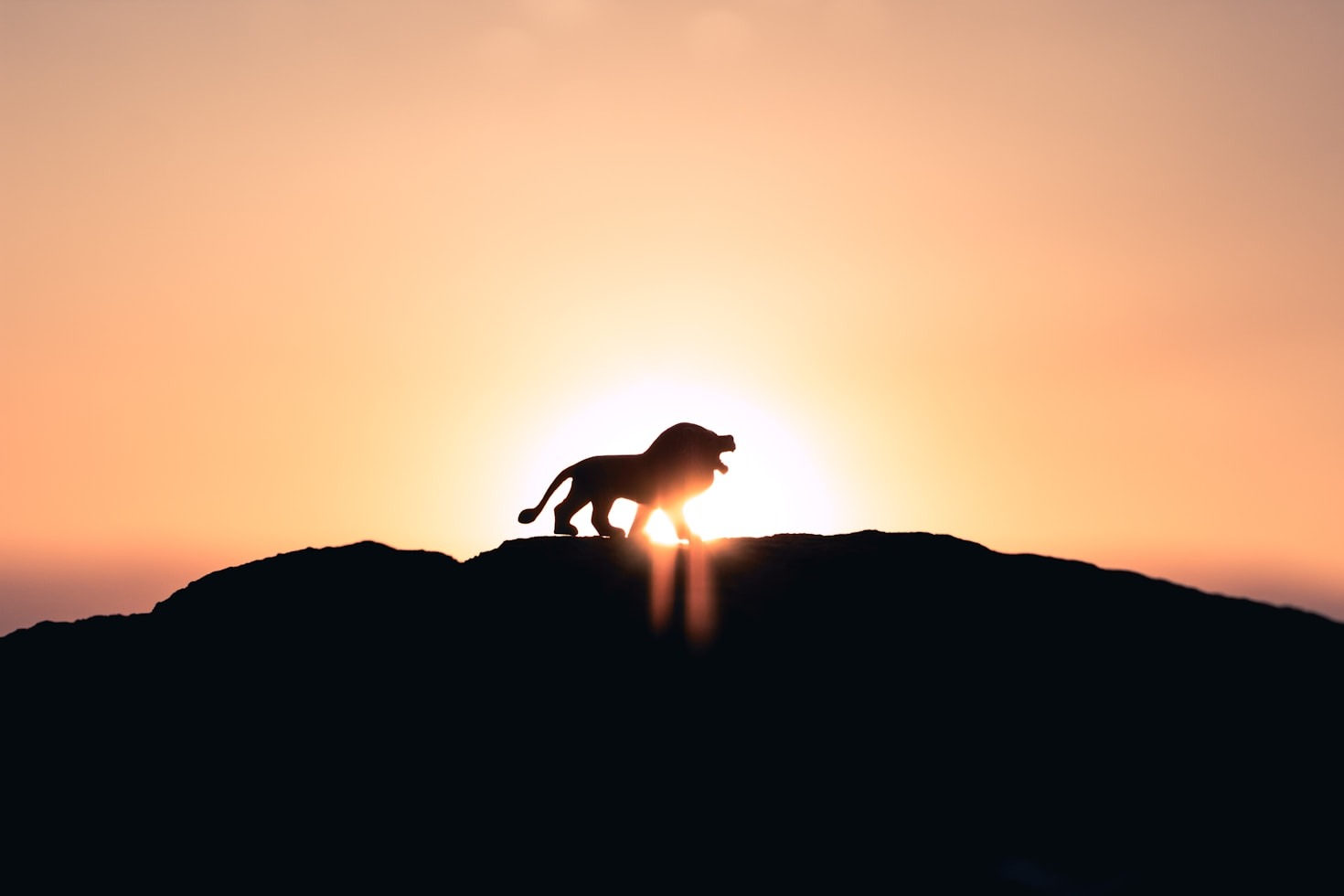 Why Freedom is the Ultimate Lifestyle Goal